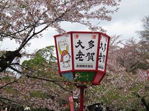 彦根城桜まつり