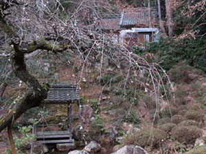 名勝胡宮神社社務所庭園