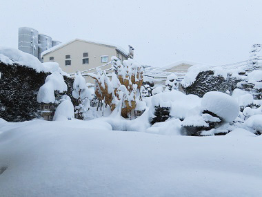 27日朝の雪景色